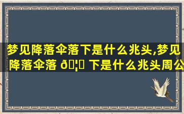 梦见降落伞落下是什么兆头,梦见降落伞落 🦟 下是什么兆头周公解梦